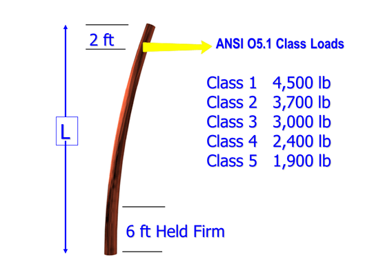 Pole Class Definition
